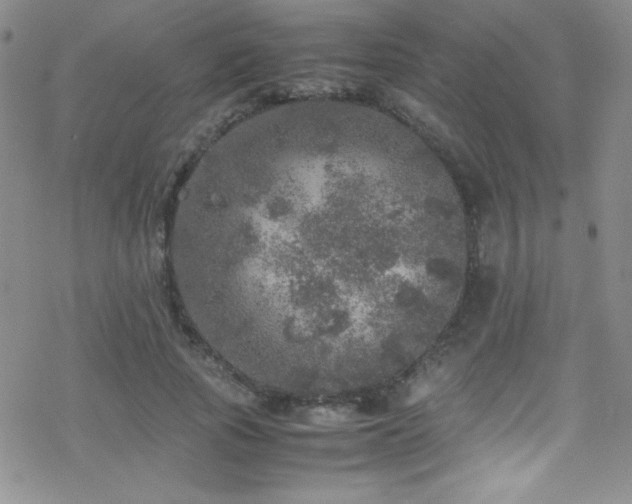 X0000070410737200606091151