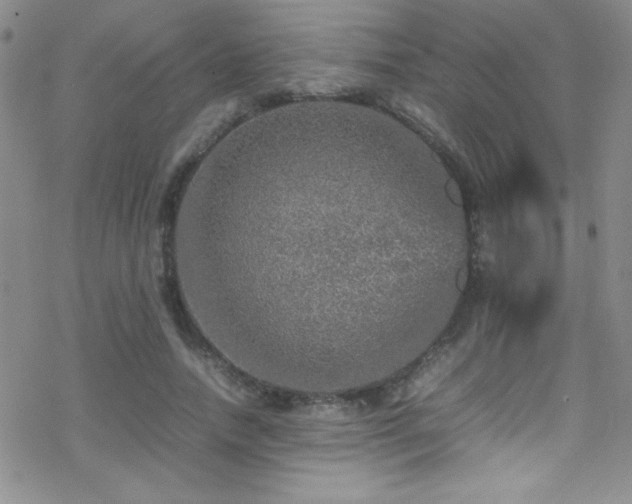 X0000070410738200606091151