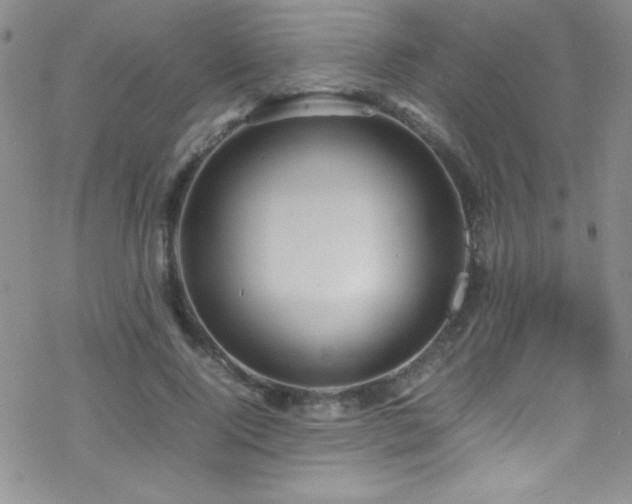 X0000070410740200606091151