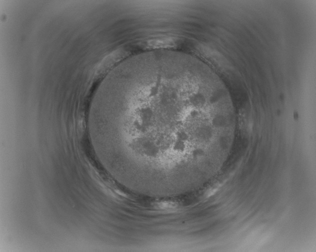 X0000070410741200606091151