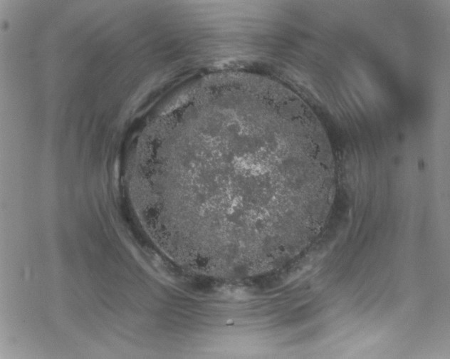 X0000070410742200606091151