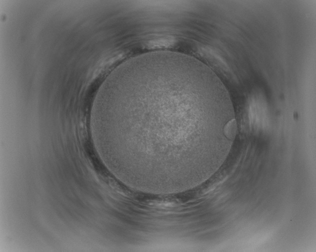 X0000070410743200606091151