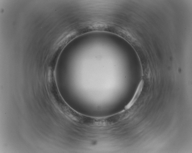 X0000070410744200606091151