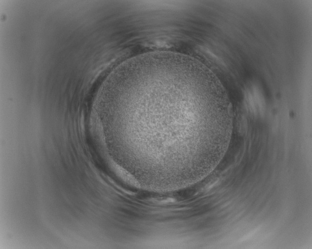 X0000070410747200606091151