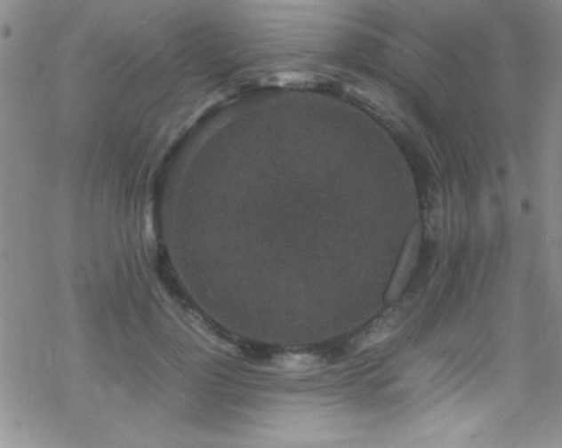 X0000070410748200606091151