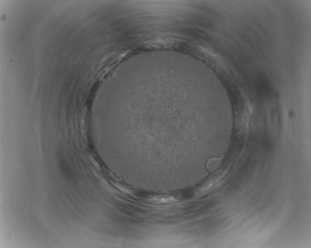 X0000070410749200606091151