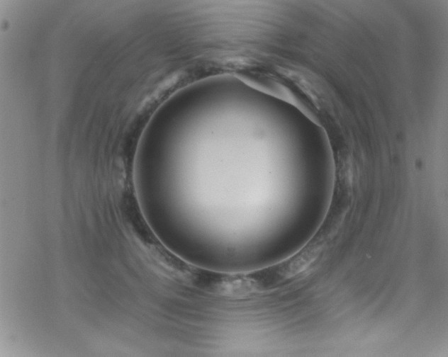 X0000070410752200606091151