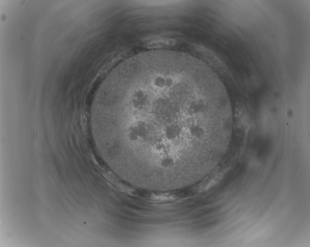 X0000070410753200606091151