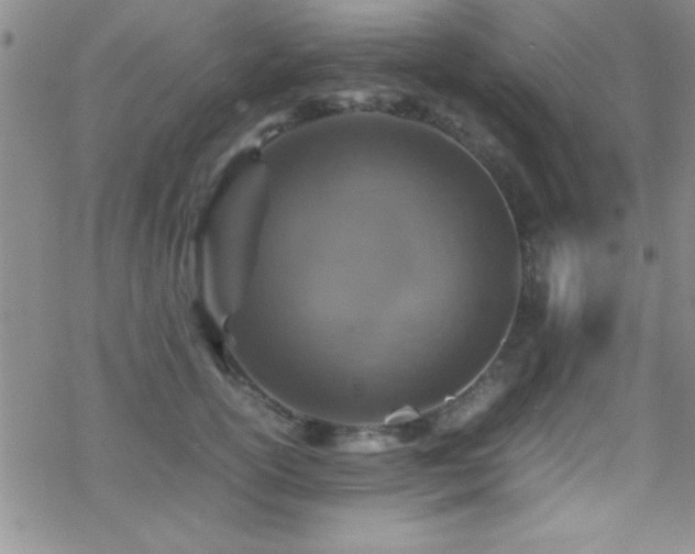 X0000070410754200606091151