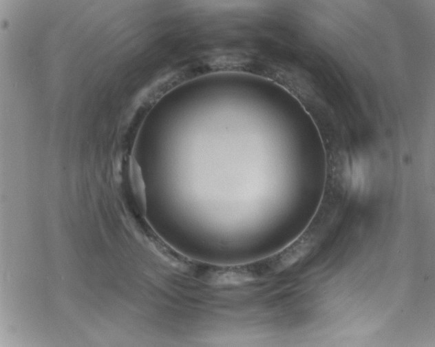 X0000070410755200606091151