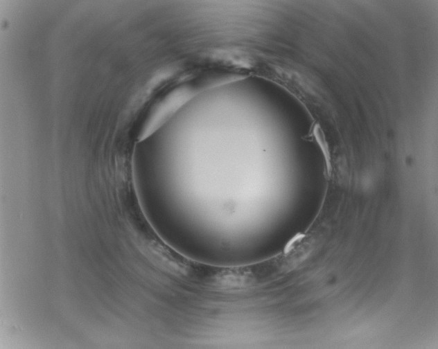 X0000070410756200606091151