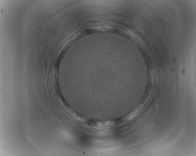 X0000070410757200606091151