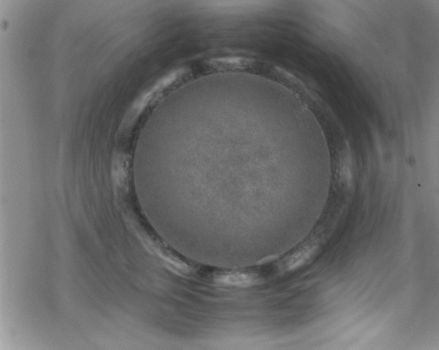 X0000070410759200606091151