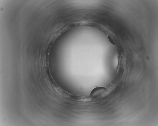 X0000070410760200606091151