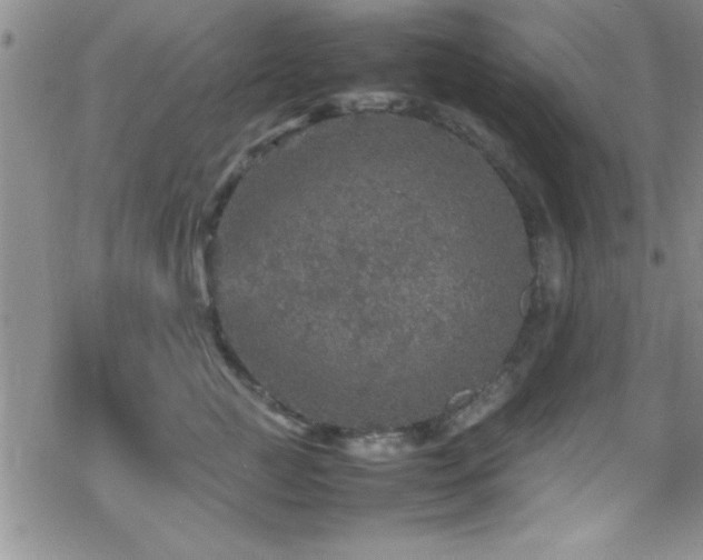 X0000070410761200606091151