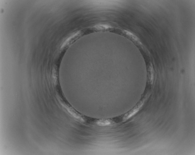 X0000070410762200606091151