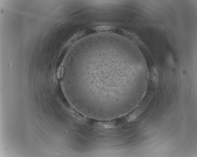 X0000070410763200606091151