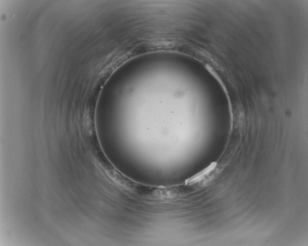 X0000070410764200606091151