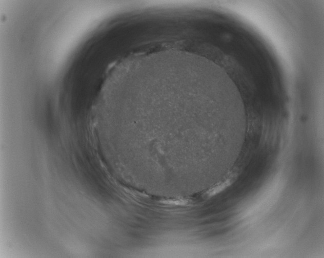 X0000070410765200606091151