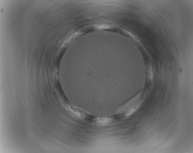 X0000070410766200606091151