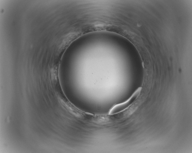 X0000070410768200606091151