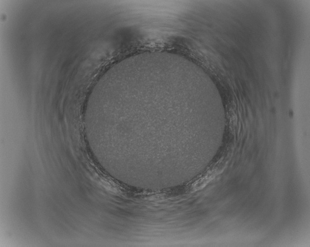 X0000070410769200606091150