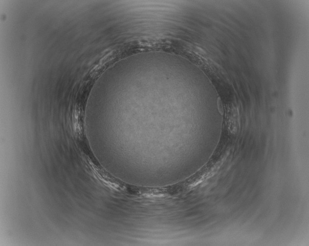 X0000070410770200606091150