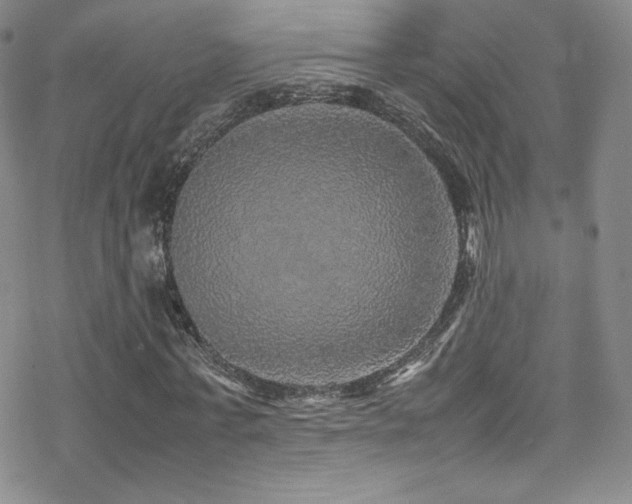 X0000070410771200606091150