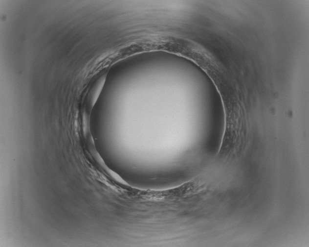 X0000070410773200606091150