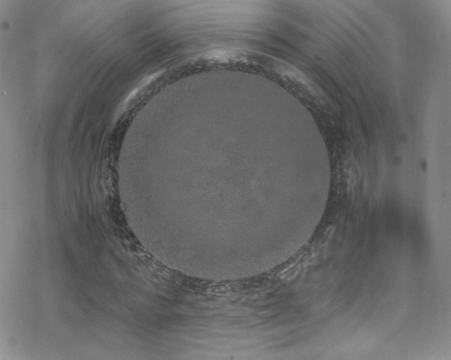 X0000070410776200606091150