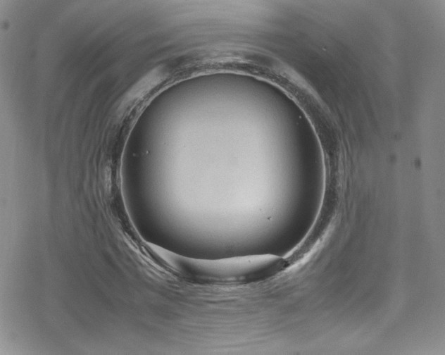 X0000070410777200606091150