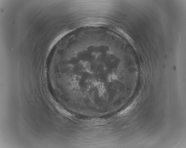 X0000070410779200606091150