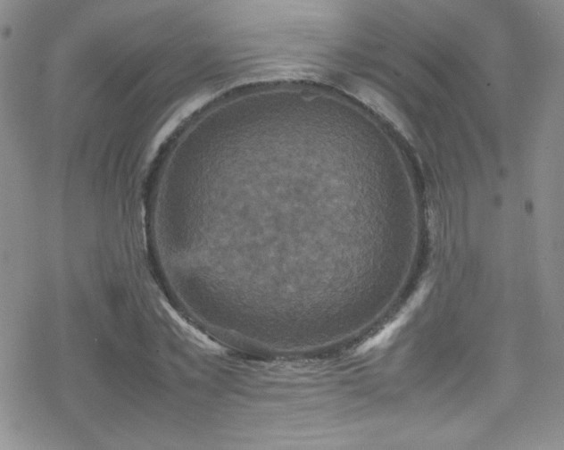 X0000070410781200606091150