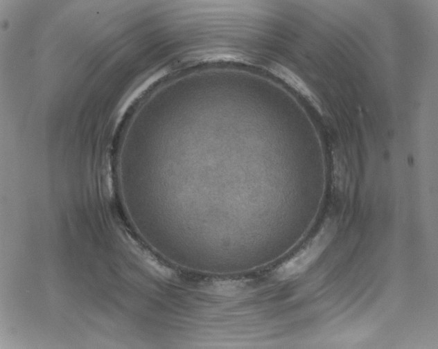 X0000070410782200606091150