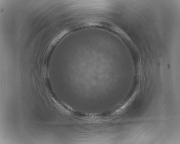 X0000070410785200606091150