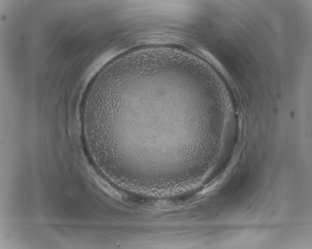 X0000070410787200606091150