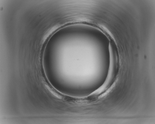 X0000070410789200606091150