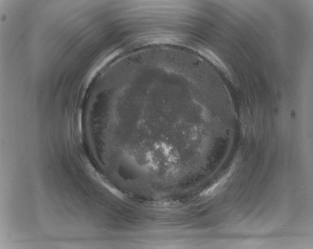 X0000070410790200606091150