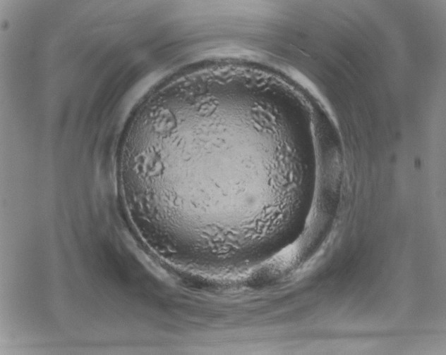 X0000070410791200606091150