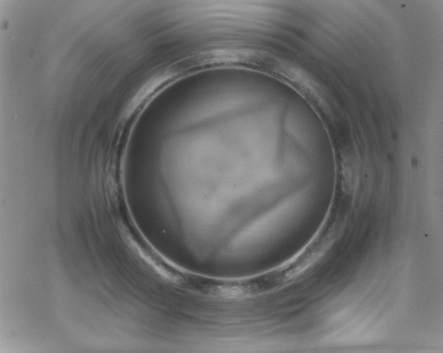 X0000070410794200606091150