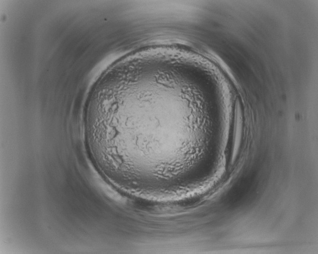 X0000070410795200606091150