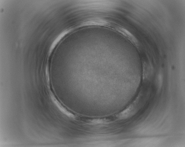 X0000070410796200606091150