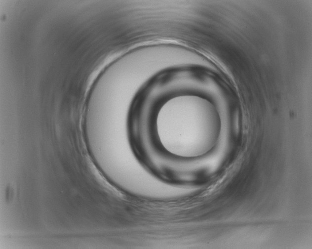 X0000070410797200606091150