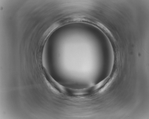 X0000070410801200606091150