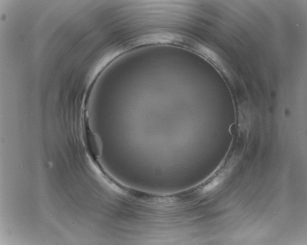 X0000070410802200606091150