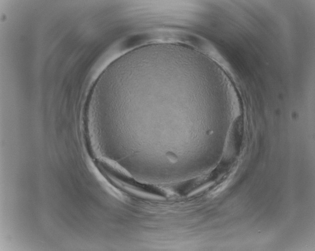 X0000070410803200606091150