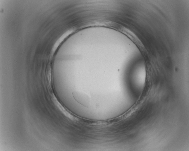 X0000070410804200606091150