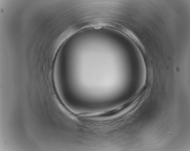 X0000070410805200606091150