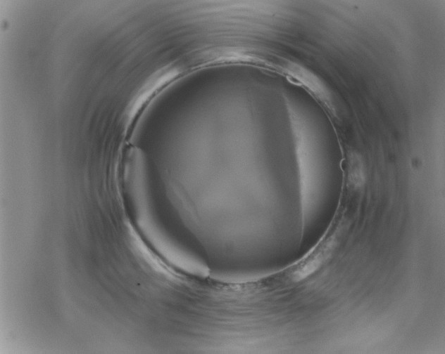 X0000070410806200606091150