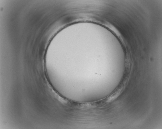 X0000070410807200606091150